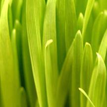 ddos服务器攻击手段